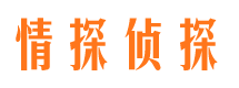 源汇市调查公司